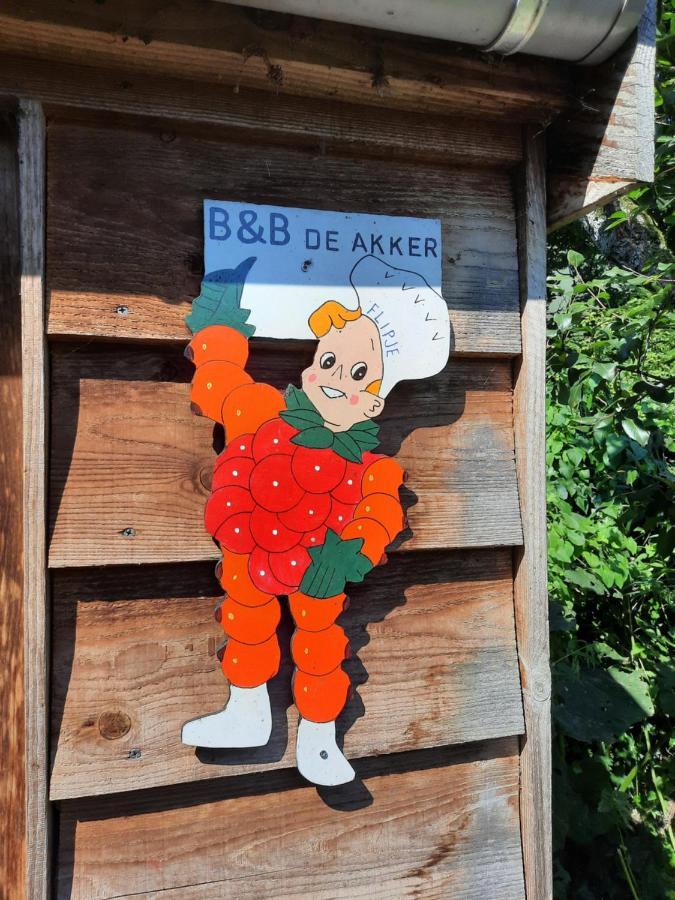 De Akker, Unieke Overnachting In Pipowagens! Ommeren エクステリア 写真